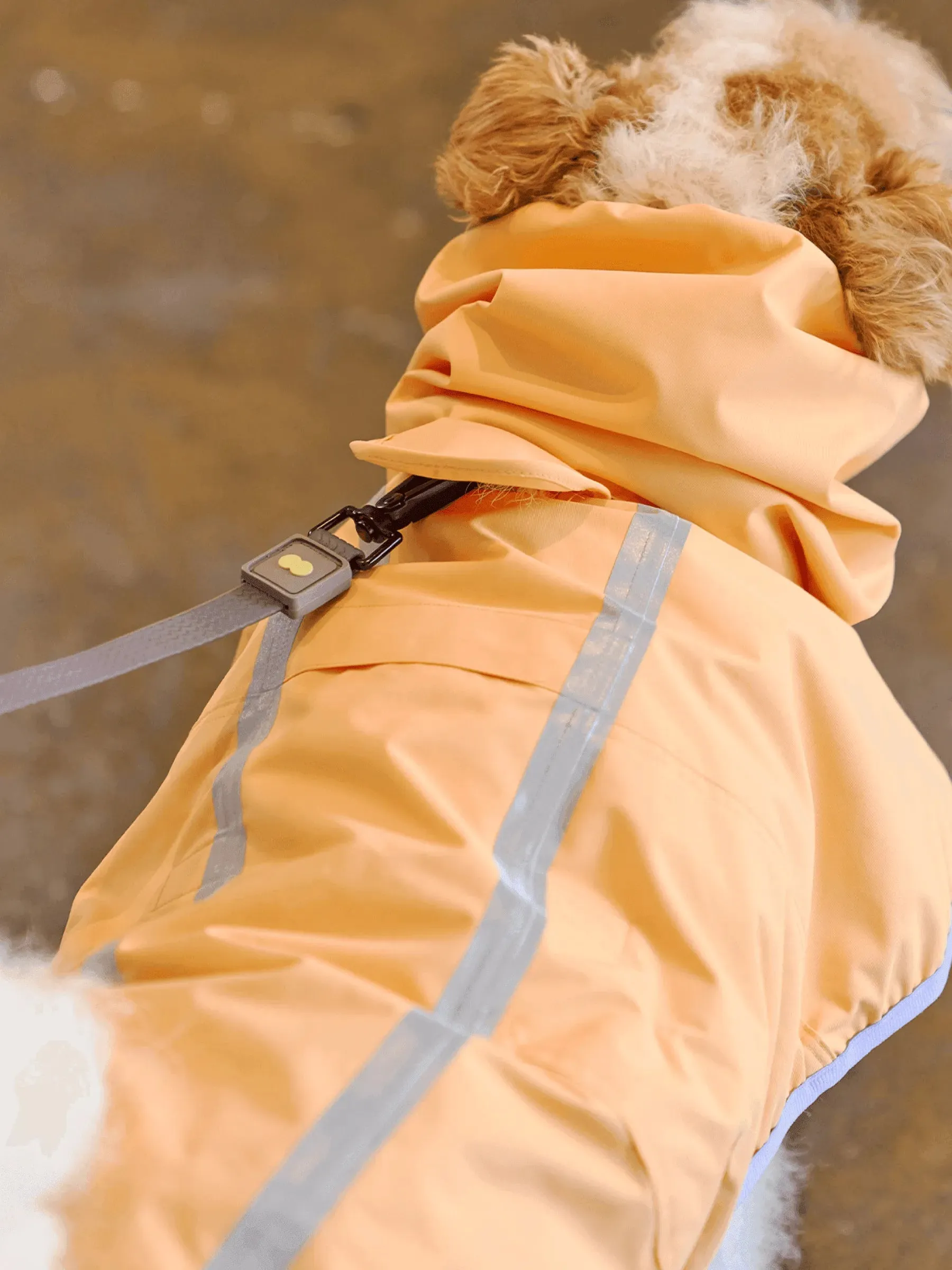 Full Coverage Reflective Dog Raincoat