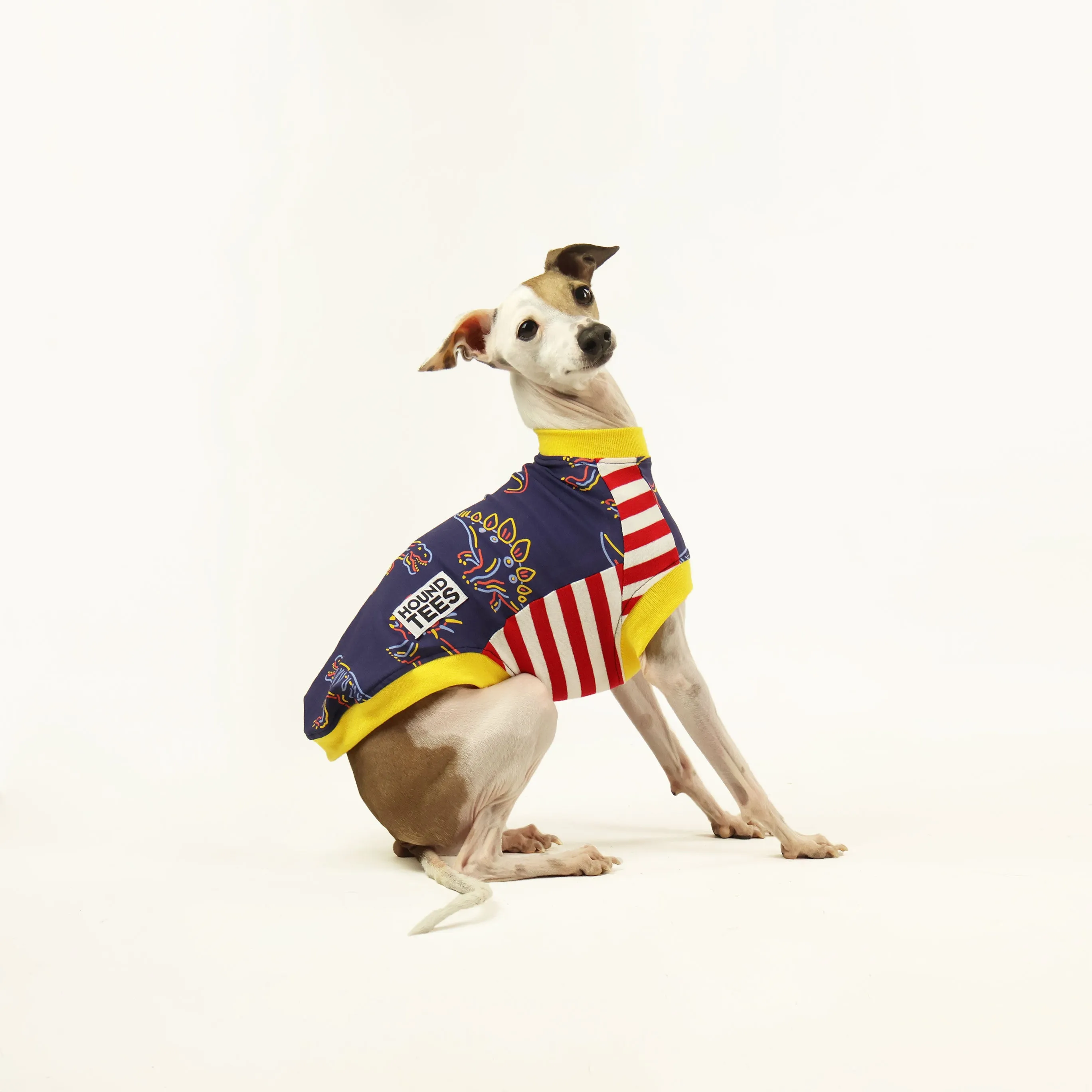 Rawr Iggy Sleeveless Hound-Tee
